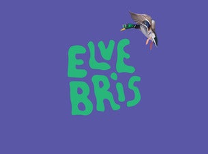 ELVEBRIS 2025 - FESTIVALPASS