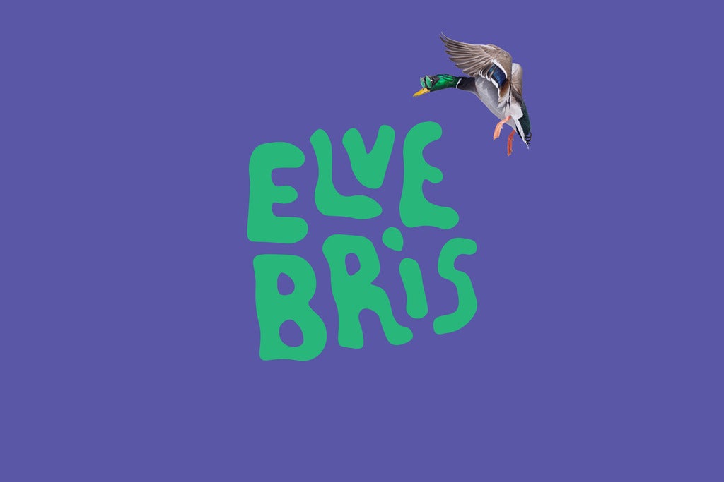 ELVEBRIS 2026 - FESTIVALPASS