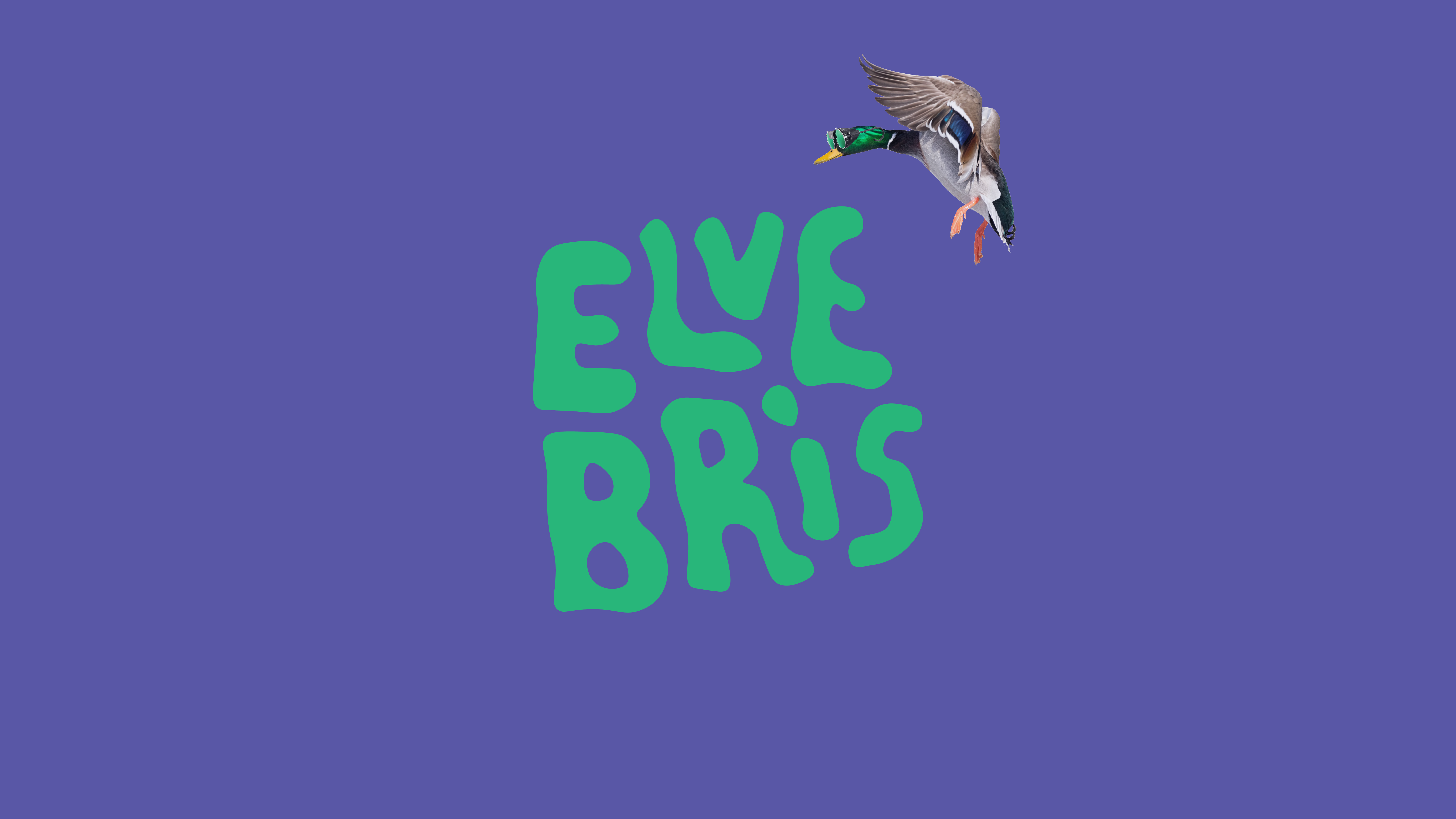 Elvebris