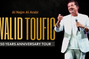 Walid Toufic in Concert