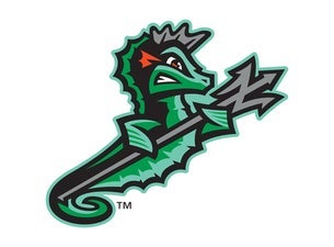 Norfolk Tides vs. Durham Bulls