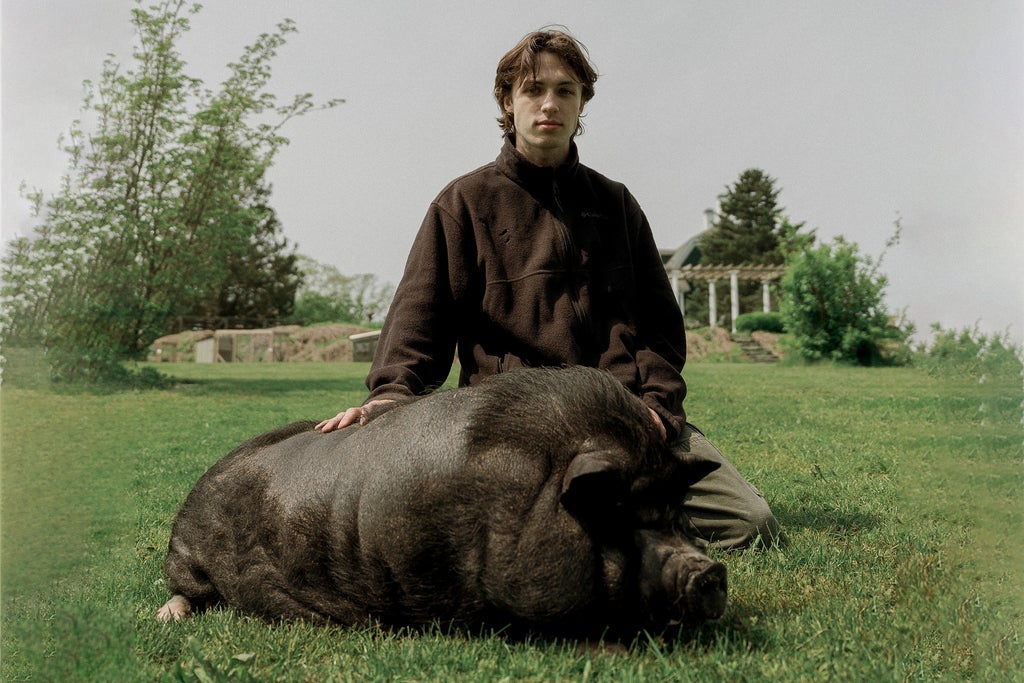 Peter McPoland: The Piggy Tour