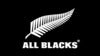 All Blacks v Fiji 