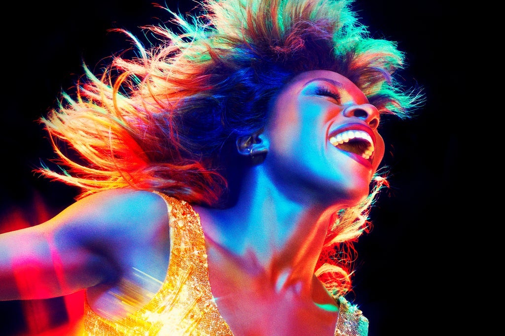 Tina - The Tina Turner Musical Show Information