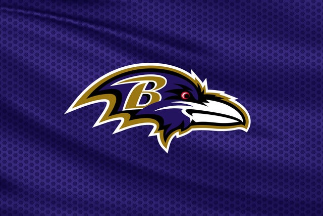 Baltimore Ravens Purple Bingo Night