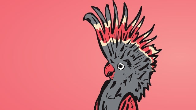 Melbourne Int'l Comedy Festival Roadshow tickets and events in Australia 2025 - 2026