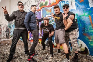 ZEBRAHEAD