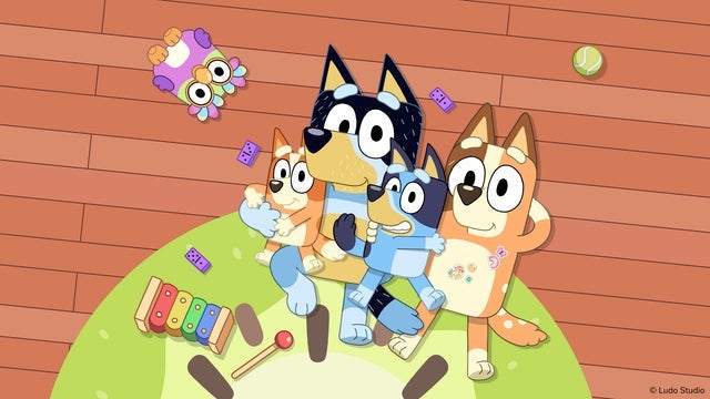 Bluey en Vivo, Diversión en Familia