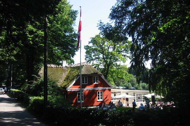 Presales to alex vargas: members use these when buying pre-sale tickets