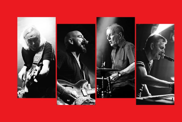 Presales to the animals (uk): members use these when buying pre-sale tickets