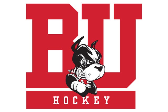 Presale codes for boston college womens hockey: members use these when buying pre-sale tickets
