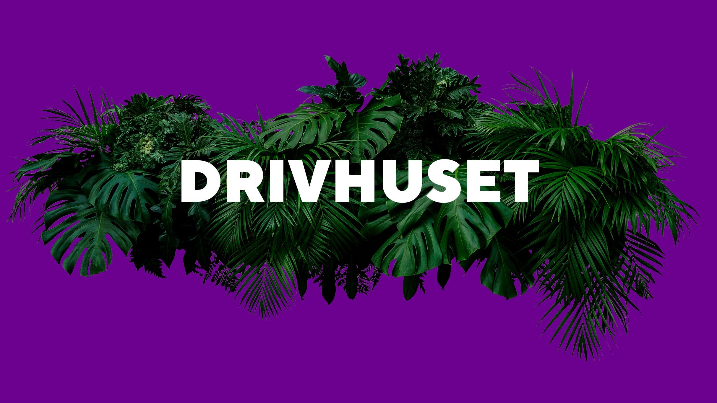 DRIVHUSET presale information on freepresalepasswords.com