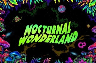 Nocturnal Wonderland