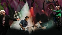 live photos