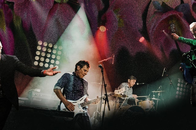 The Fleshtones