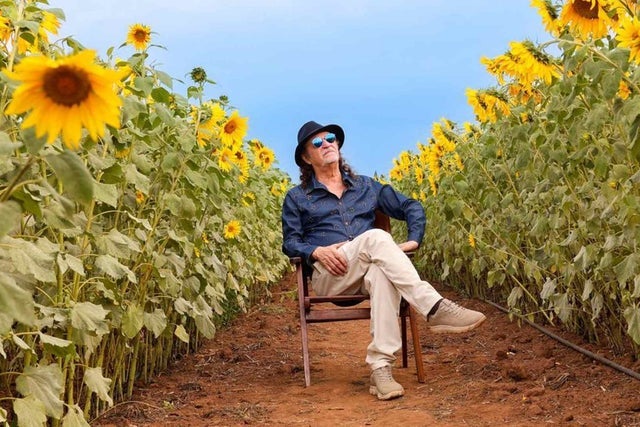 Presale codes for alceu valen&ccedil;a: members use these when buying pre-sale tickets