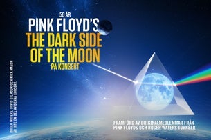 THE DARK SIDE OF THE MOON - LIVE IN CONCERT
