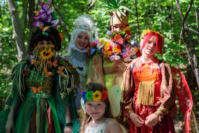 Presales to artpark's fairy house festival: members use these when buying pre-sale tickets