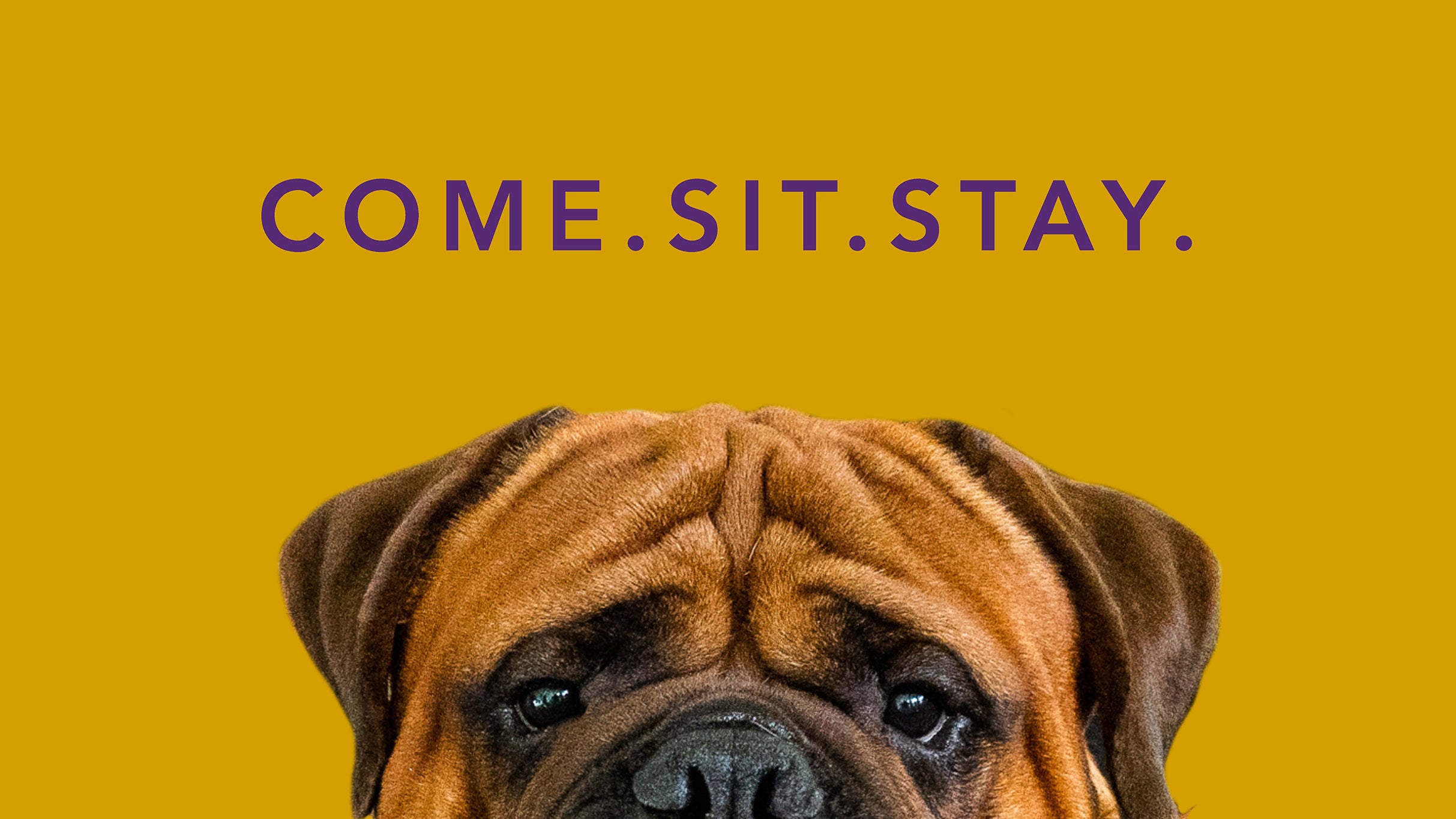 Westminster Kennel Club Dog Show Tickets Event Dates & Schedule