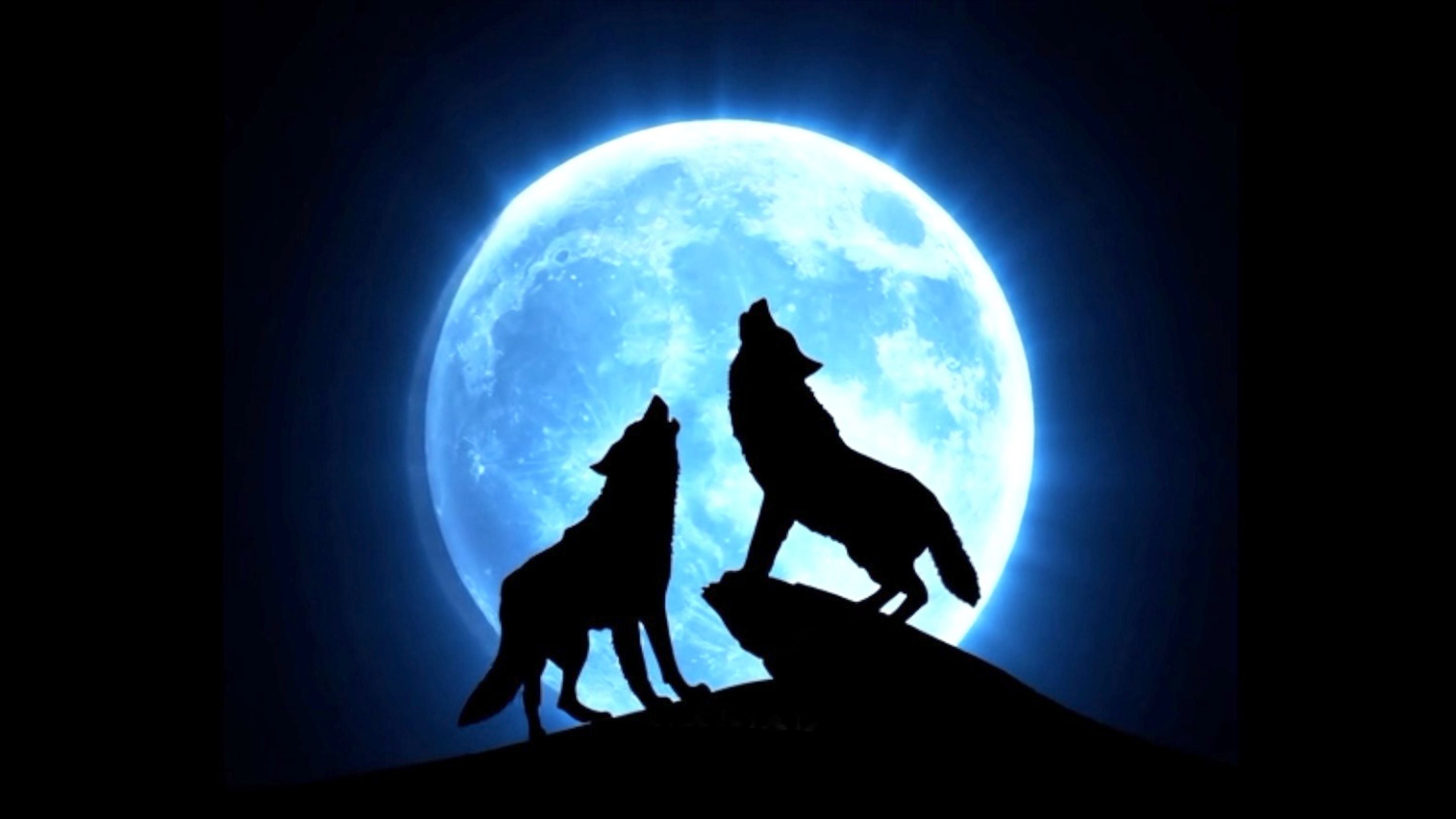 Creedence Clearwater Collective concerts and tour dates | GlobalGigMap