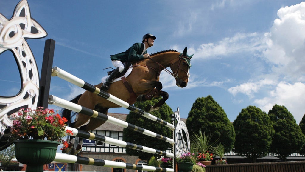 Hotels near Dublin Horse Show Events