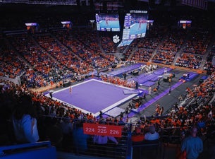 Clemson University Tigers Women's Gymnastics