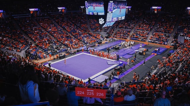 Clemson University Tigers Women's Gymnastics