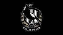 Collingwood v North Melbourne - AFL Reserve & MCC