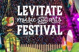 Levitate Music Festival