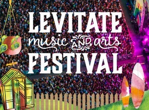 Image of Levitate Music Festival