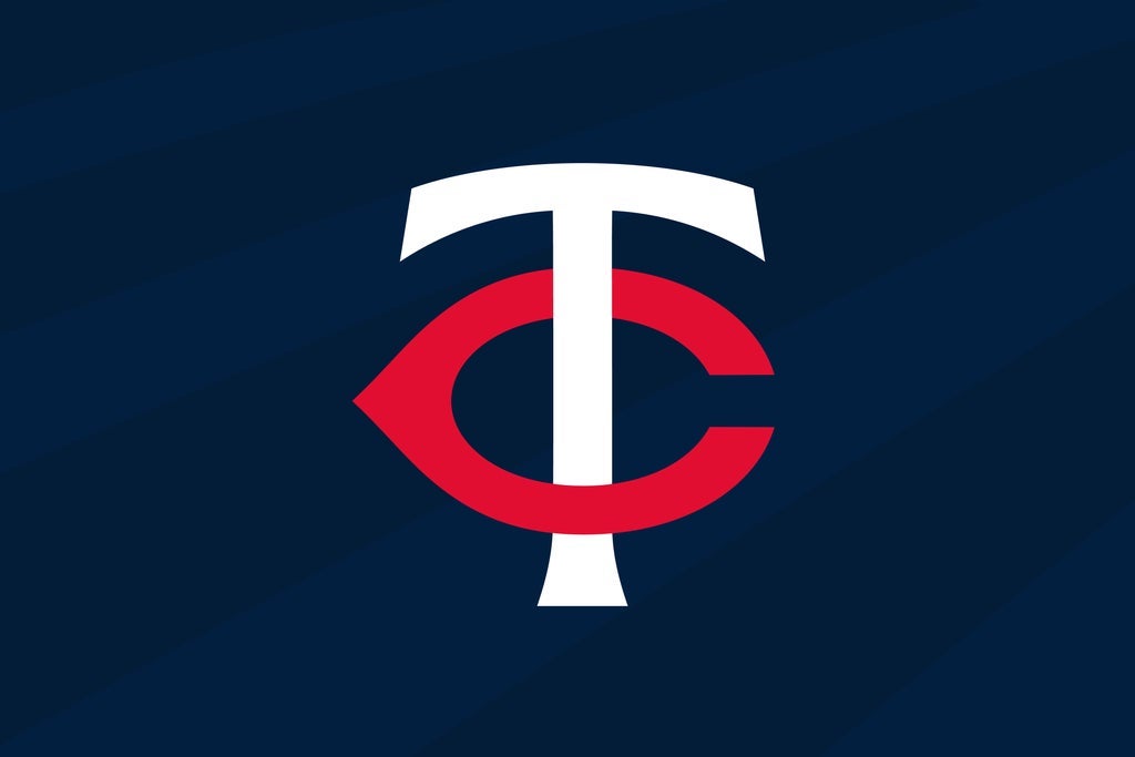 Minnesota Twins vs. New York Yankees photo 5