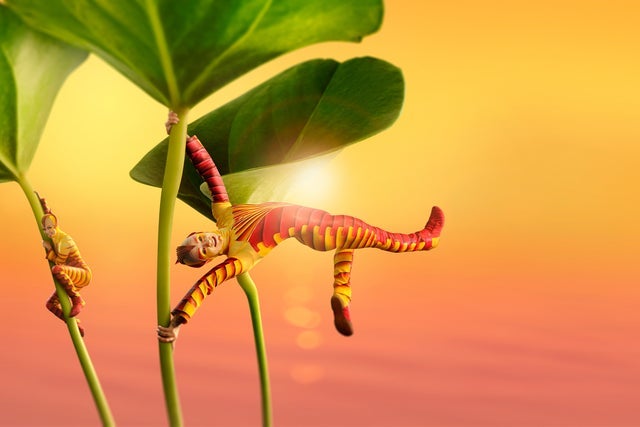 Presale codes for cirque du soleil: ovo: members use these when buying pre-sale tickets