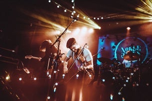 live photos