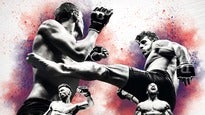 MMA - Mixed Martial Arts in Deutschland