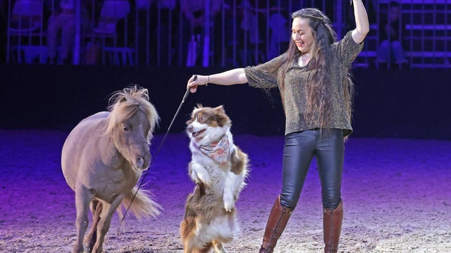 MiMaMo – Die Pferde-Kinder-Pony-Show – SONNTAG in Messegelände Hannover 07/12/2025