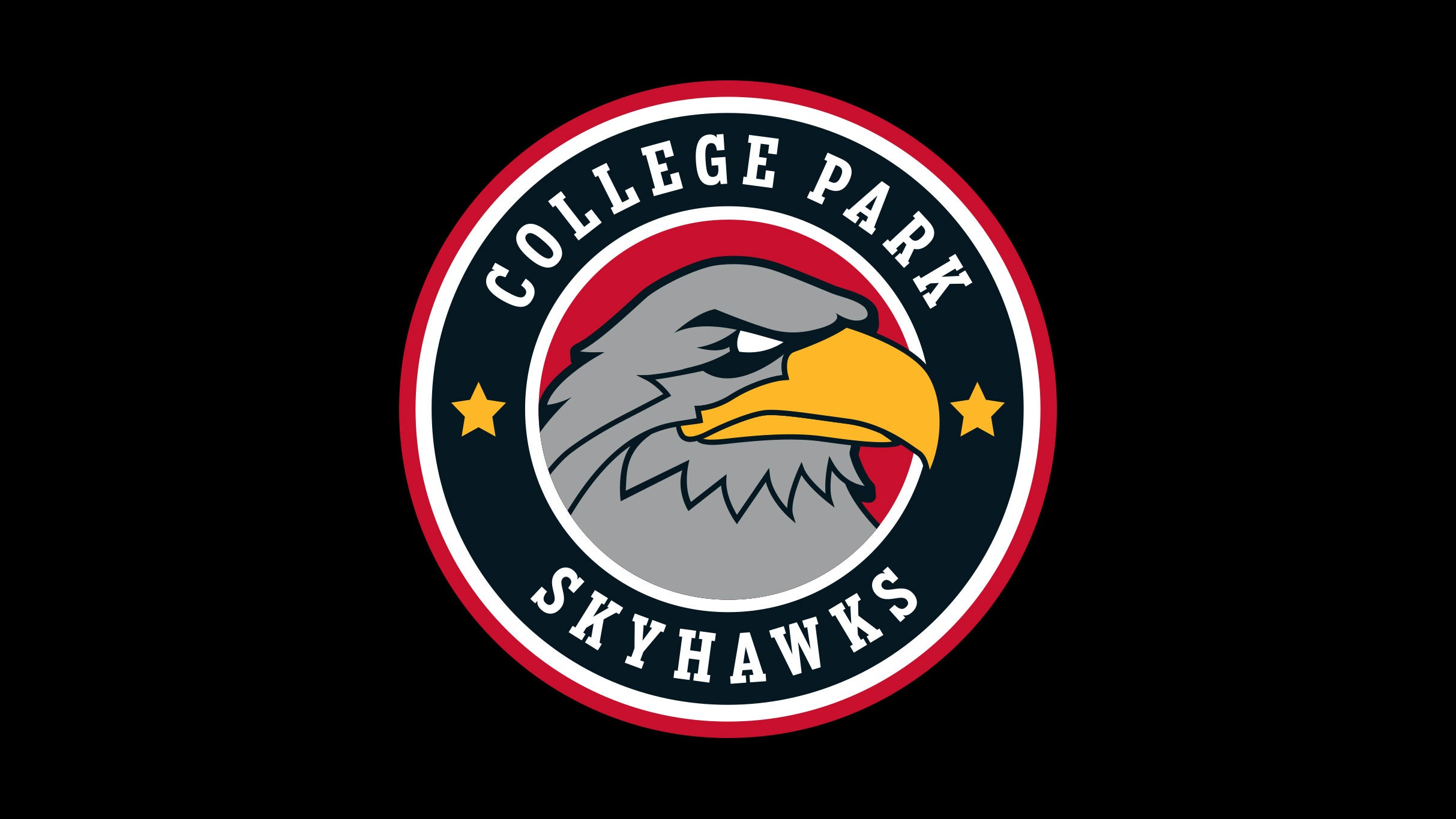 College Park Skyhawks vs. Long Island Nets