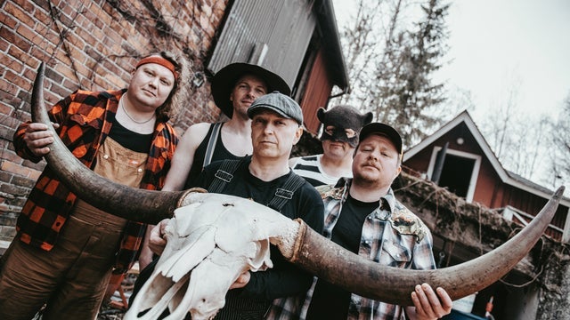 Steve 'n' Seagulls