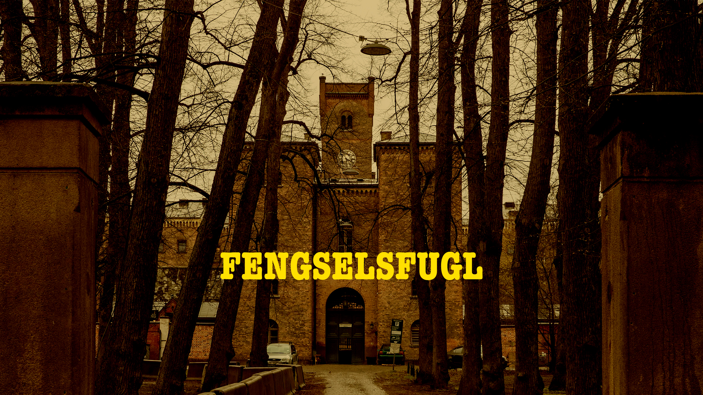 Borgerteatret: Fengselsfugl