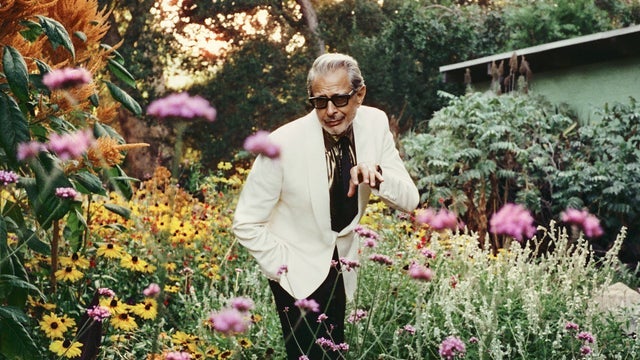 Jeff Goldblum, The Mildred Snitzer Orchestra in University of Wolverhampton at The Civic Hall 28/05/2026