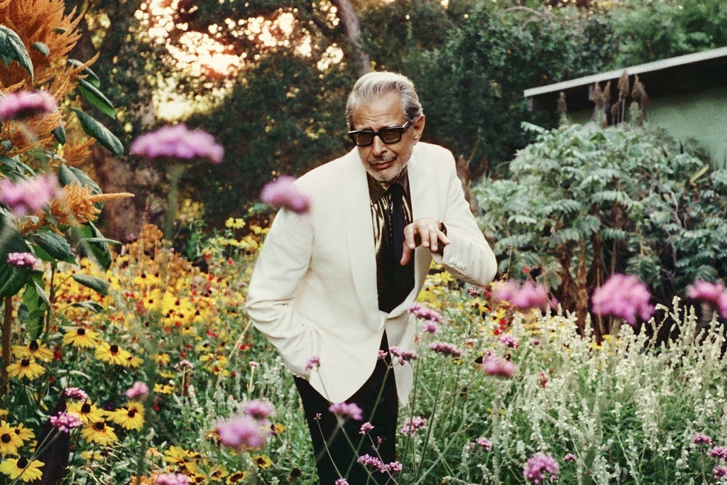 Jeff Goldblum and the Mildred Snitzer Orchestra