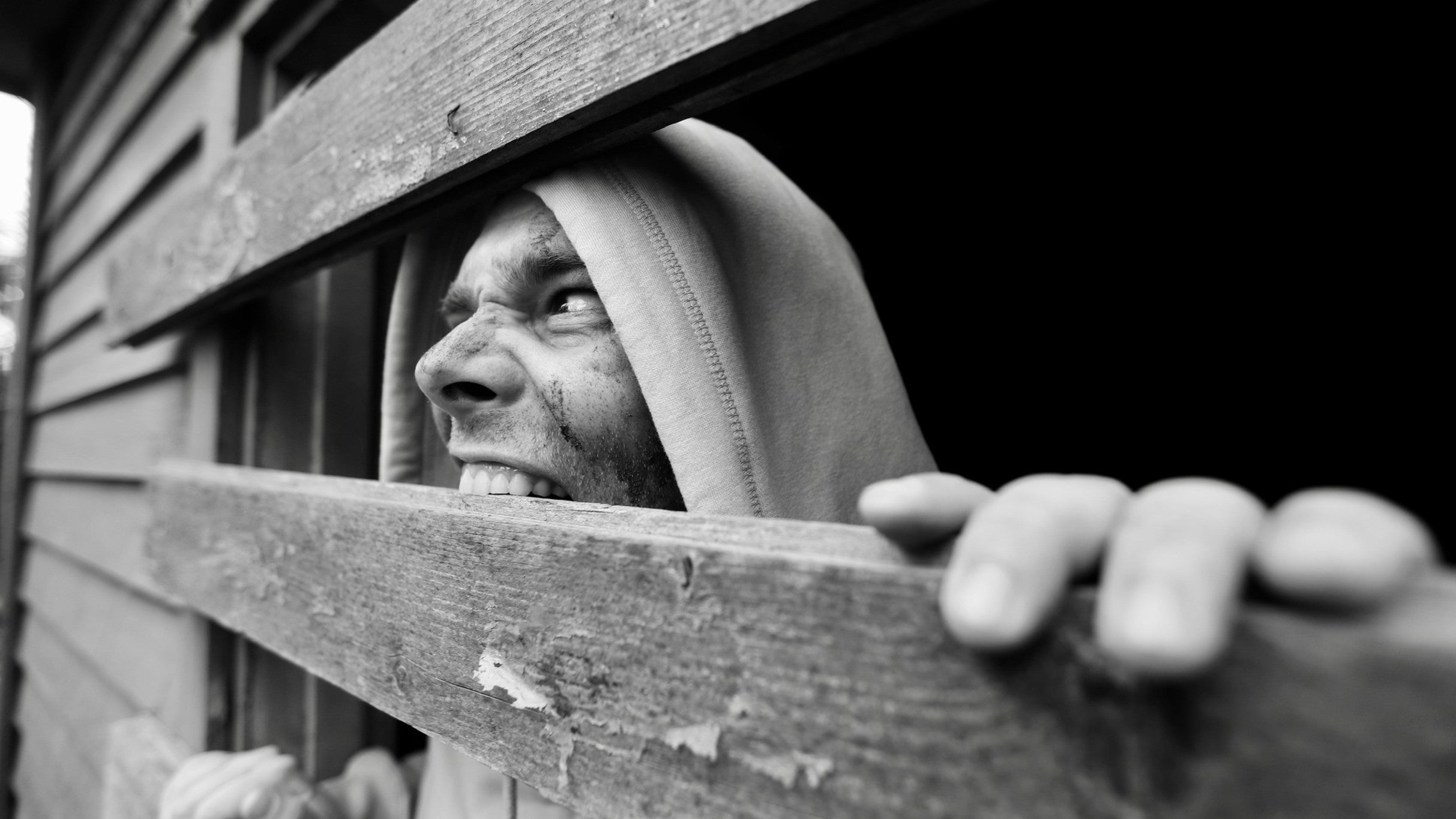 Svartepetter – 2026-04-24