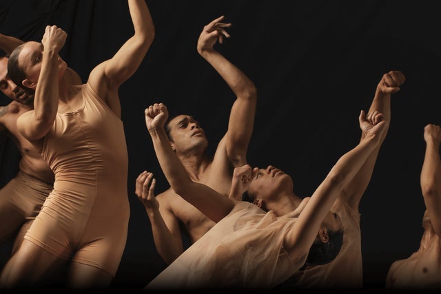 Presale codes for black grace: members use these when buying pre-sale tickets