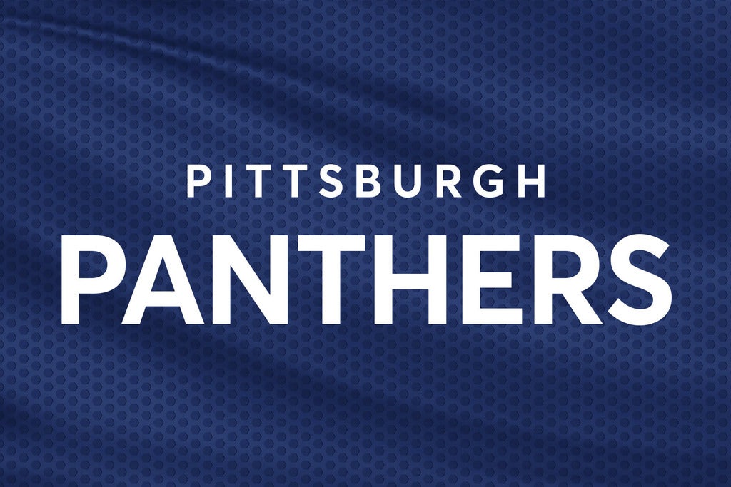 Pittsburgh Panthers Baseball