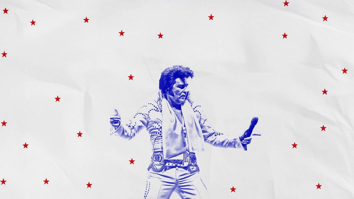 Elvis the Concert