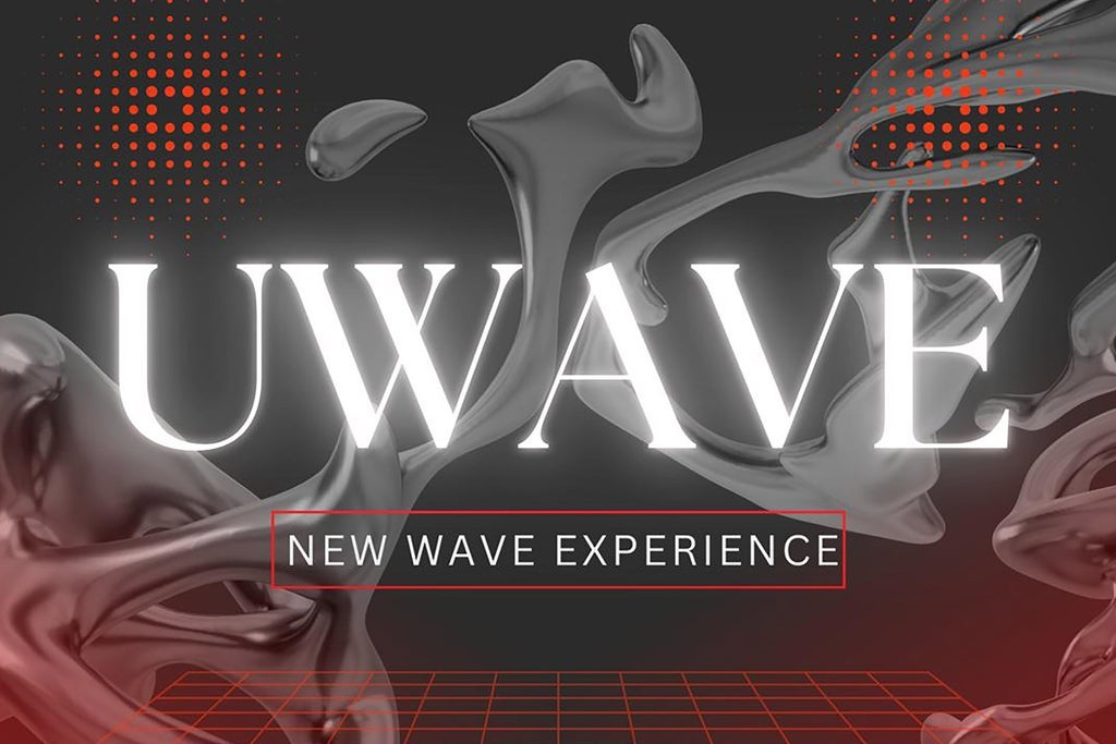 U Wave (B) New Wave Experience