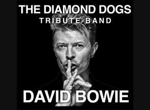 Tribute to David Bowie by Diamond Dogs (B), 2024-01-19, Verviers