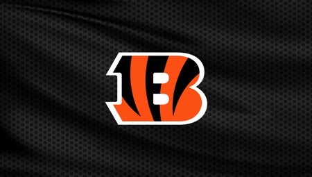 nfl bengals from