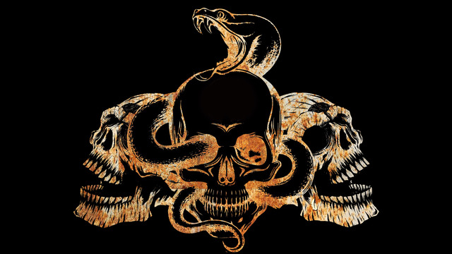 The F**King Pantera Cover Band