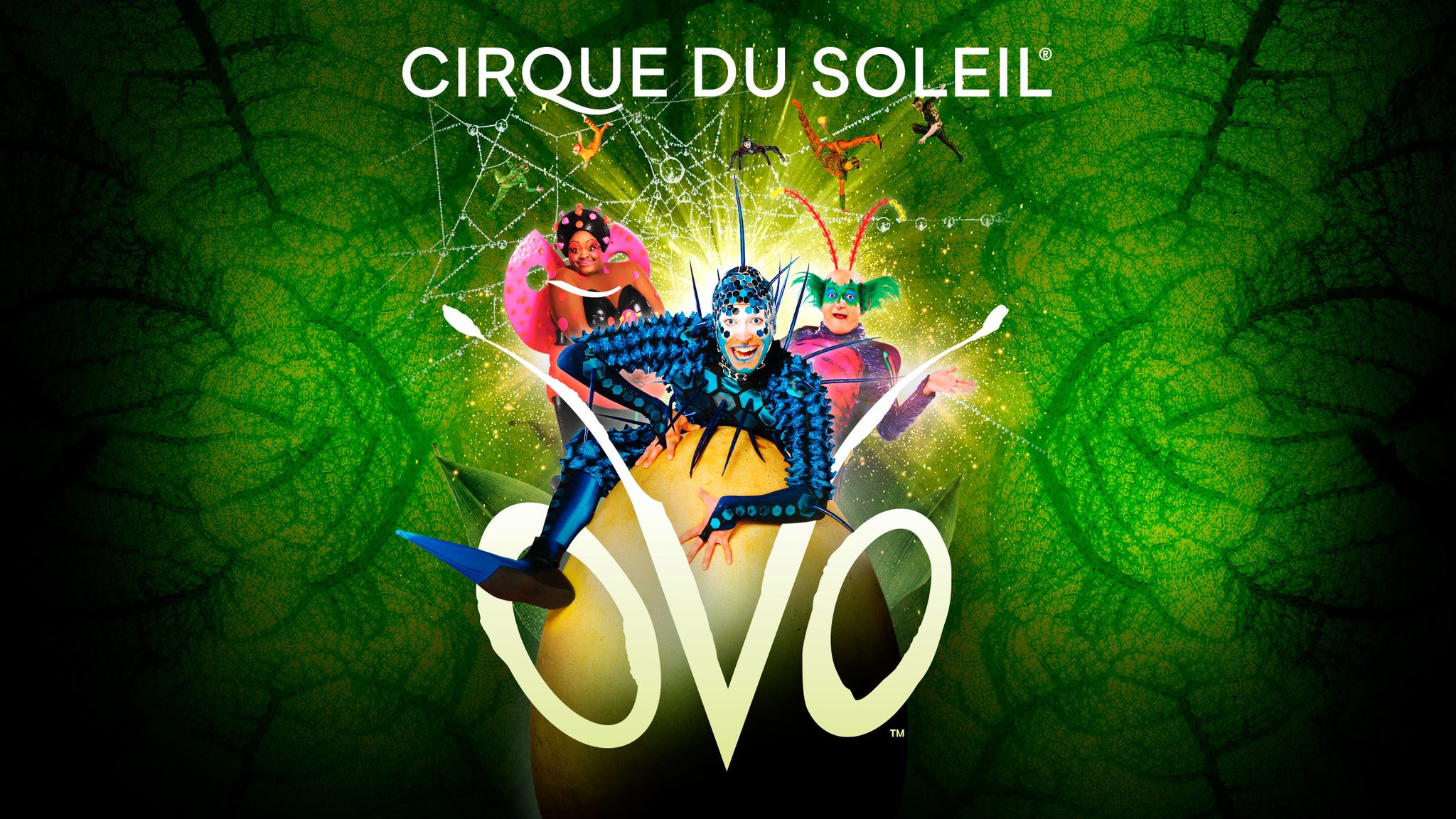 Cirque du Soleil: OVO at Brookshire Grocery Arena