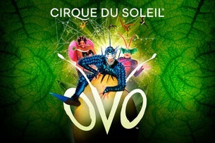 OVO Cirque du Soleil